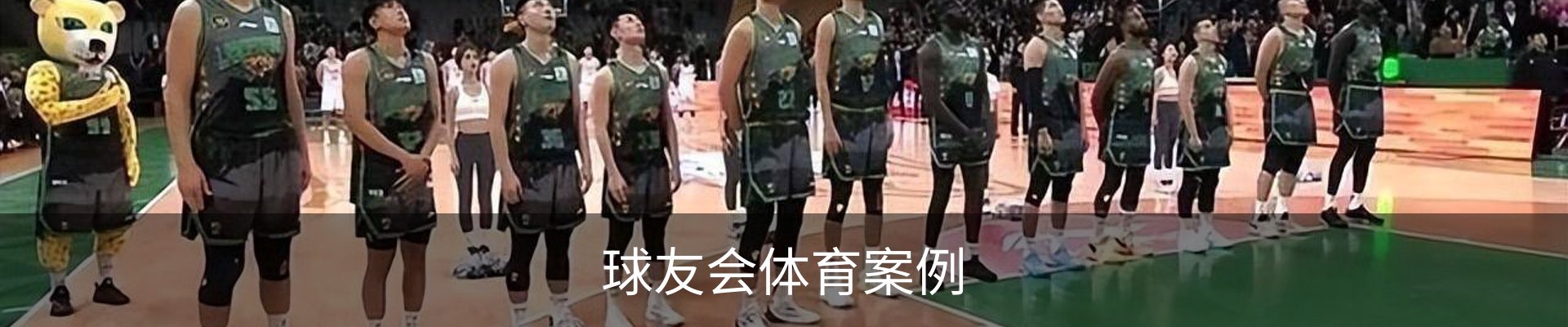 球友会体育案例